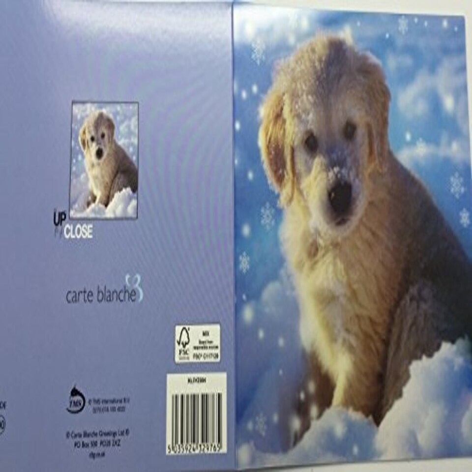 image 1 of 3D Holographic Up Close PUPPY IN SNOW Christmas Greeting Card