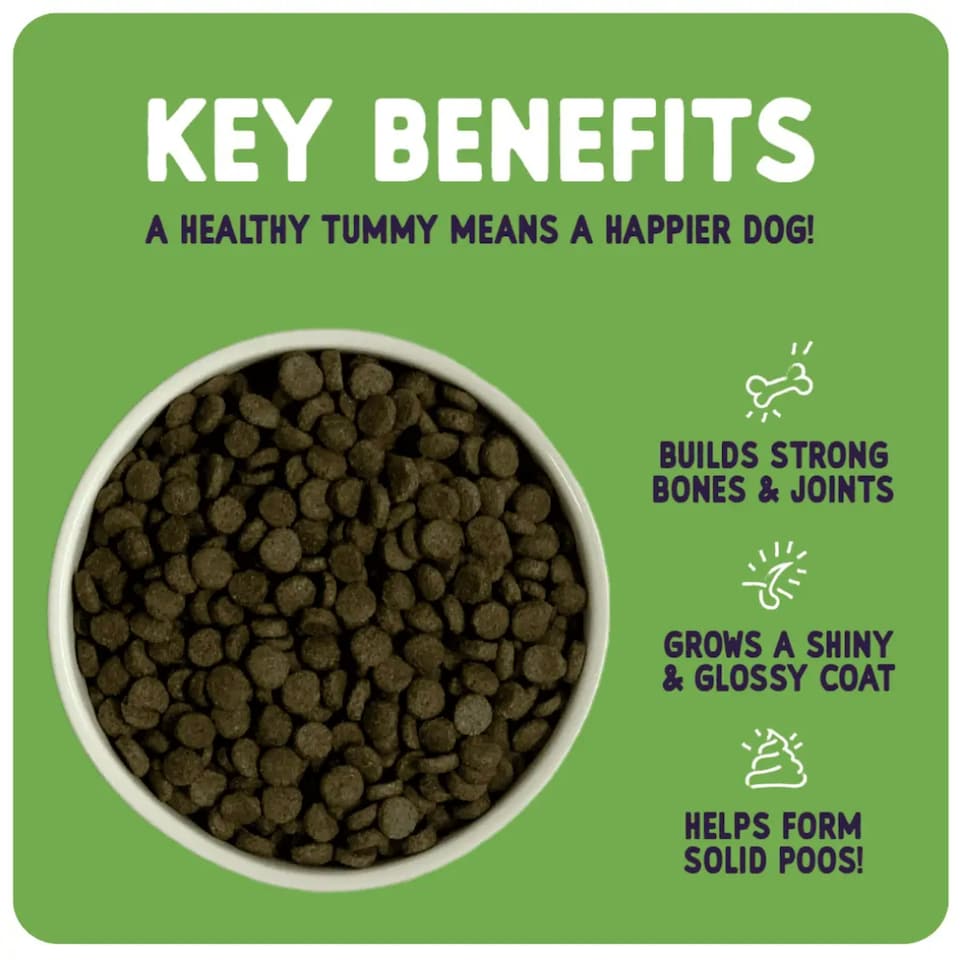 image 1 of Burgess Sensitive Adult Dog Food With Lamb And Rice - 2KG