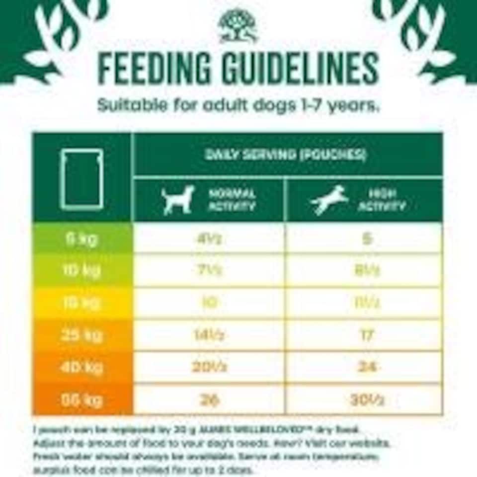 image 1 of James Wellbeloved Adult Dog Food Lamb In Gravy Pouch 48 X 90G