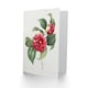 image 2 of Pierre-Joseph Redouté Art Card Camelia Vintage Floral Illustration