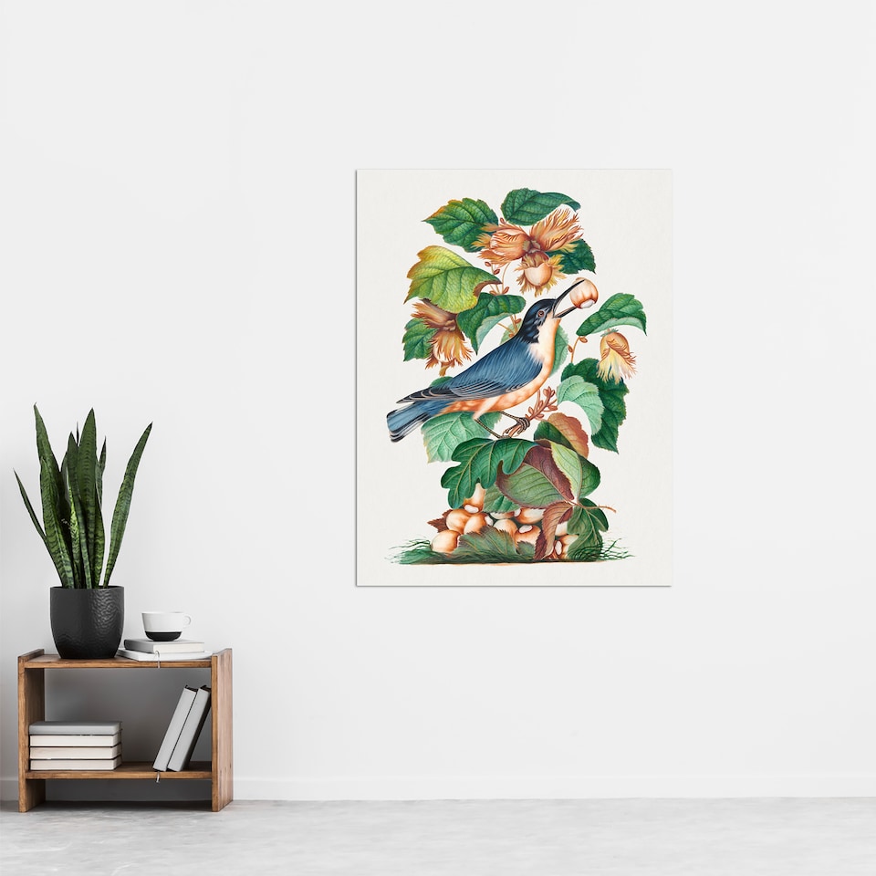 image 1 of Nuthatch Bird Hazel Oak and Bramble Bolton Huge Wall Art Poster Print