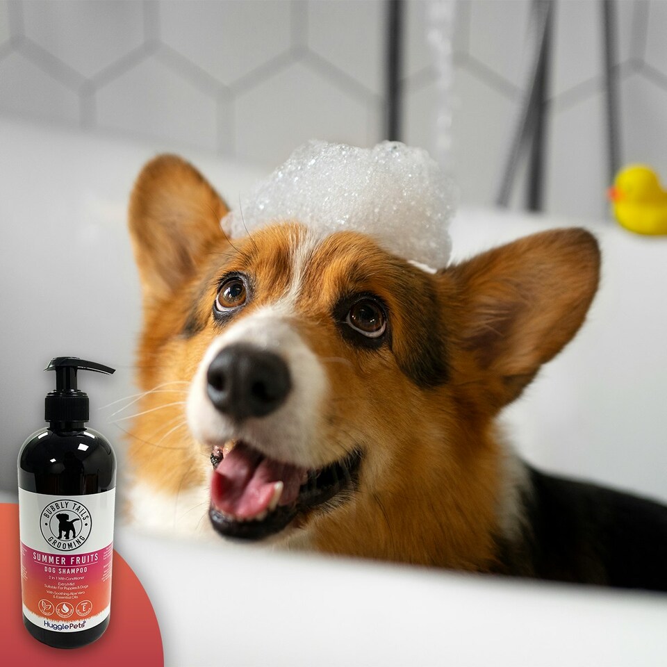 image 1 of HugglePets Bubbly Tails Dog Shampoo - Summer Fruits