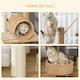 image 3 of PawHut 121cm Cat Tree Tower Activity Centre with Scratching Post Brown