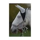 image 2 of HyCOMFORT Fly Eye & Ear Shield - White/Black - One Size