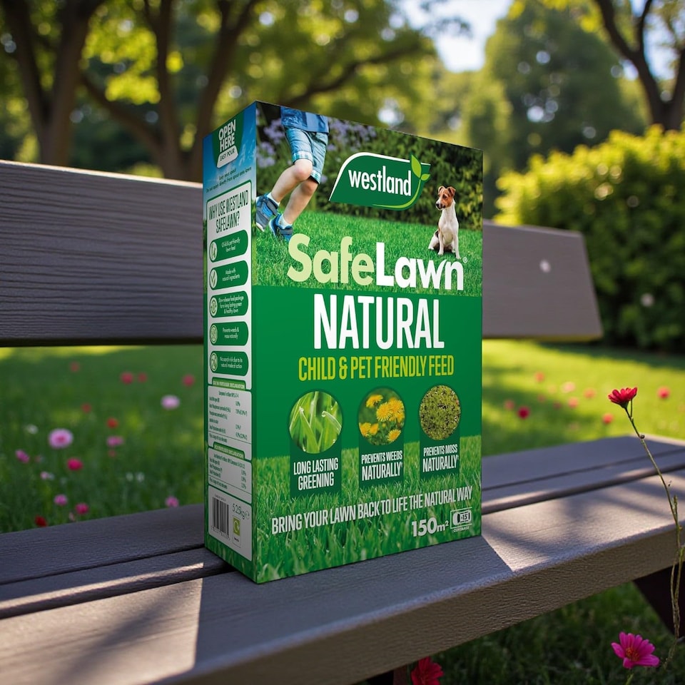 image 1 of Westland SafeLawn 150m2 Box Natural Organic Lawn Fertiliser Feed for Lush Green Grass Safe for Pets and Children Lawn