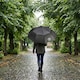 image 4 of 68.5cm Assorted Double Canopy Golf Umbrella