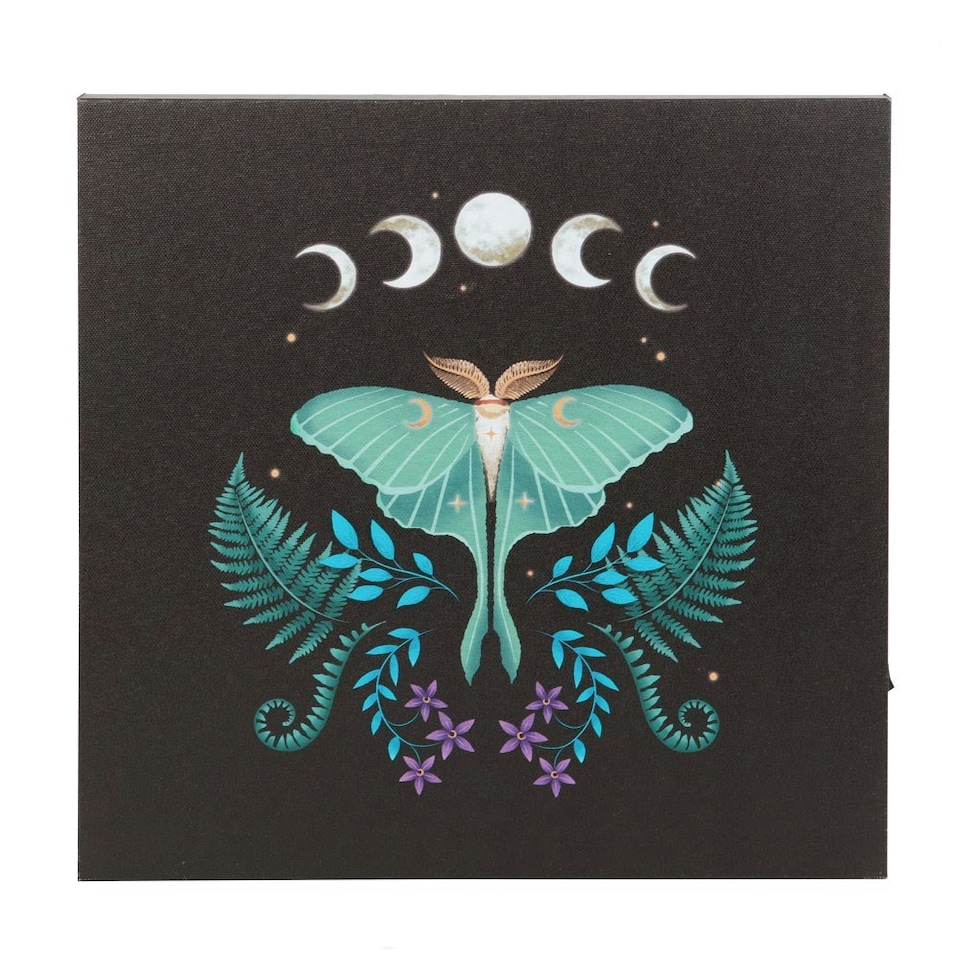 image 1 of Something Different Canvas Luna Moth Light Up Canvas - Black/Blue/White - One Size