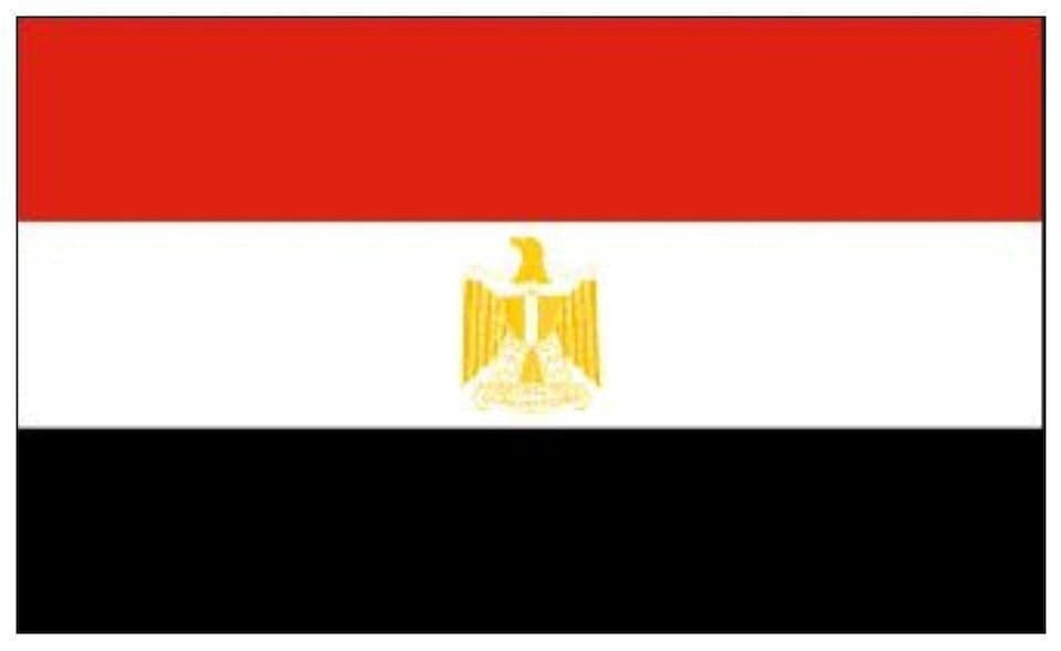 image 1 of Egypt Flag 5x3ft With Eyelets | Multi