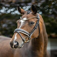 LeMieux Kudos Patent Dressage Bridle White | Pony