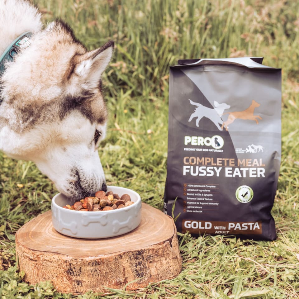 image 1 of Pero Fussy Eater Dog Food - Gold with Pasta | Brown | 1