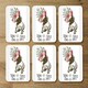 image 2 of portrait of french bulldog puppy (Coaster)