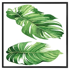 Twin botanical leaves (Picture Frame) Black | M