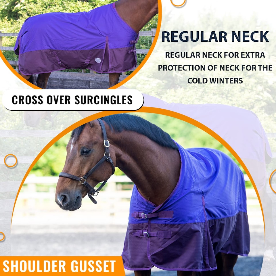 image 1 of eQuitack 600D Waterproof Horse Turnout Rug 0g No Fill Regular Neck Purple/Plum 5'9''