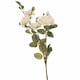 image 1 of Soft White Cottage Rose Stem Artificial Plant - Fabric/Plastic - L8 x W8 x H53 cm - Green
