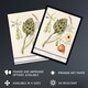 image 2 of Artichoke Broad beans and Groundcherry de Boodt Wall Art Poster Print 24X32"