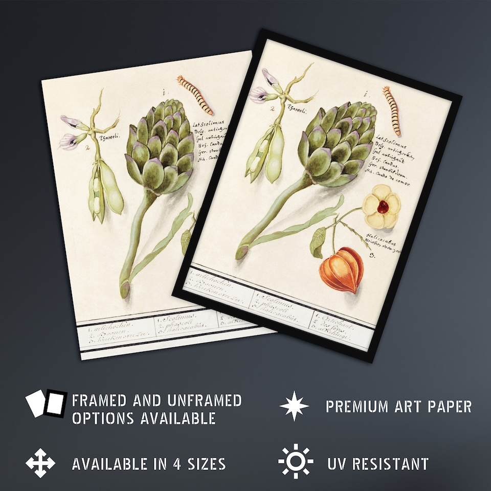 image 1 of Artichoke Broad beans and Groundcherry de Boodt Wall Art Poster Print 24X32"