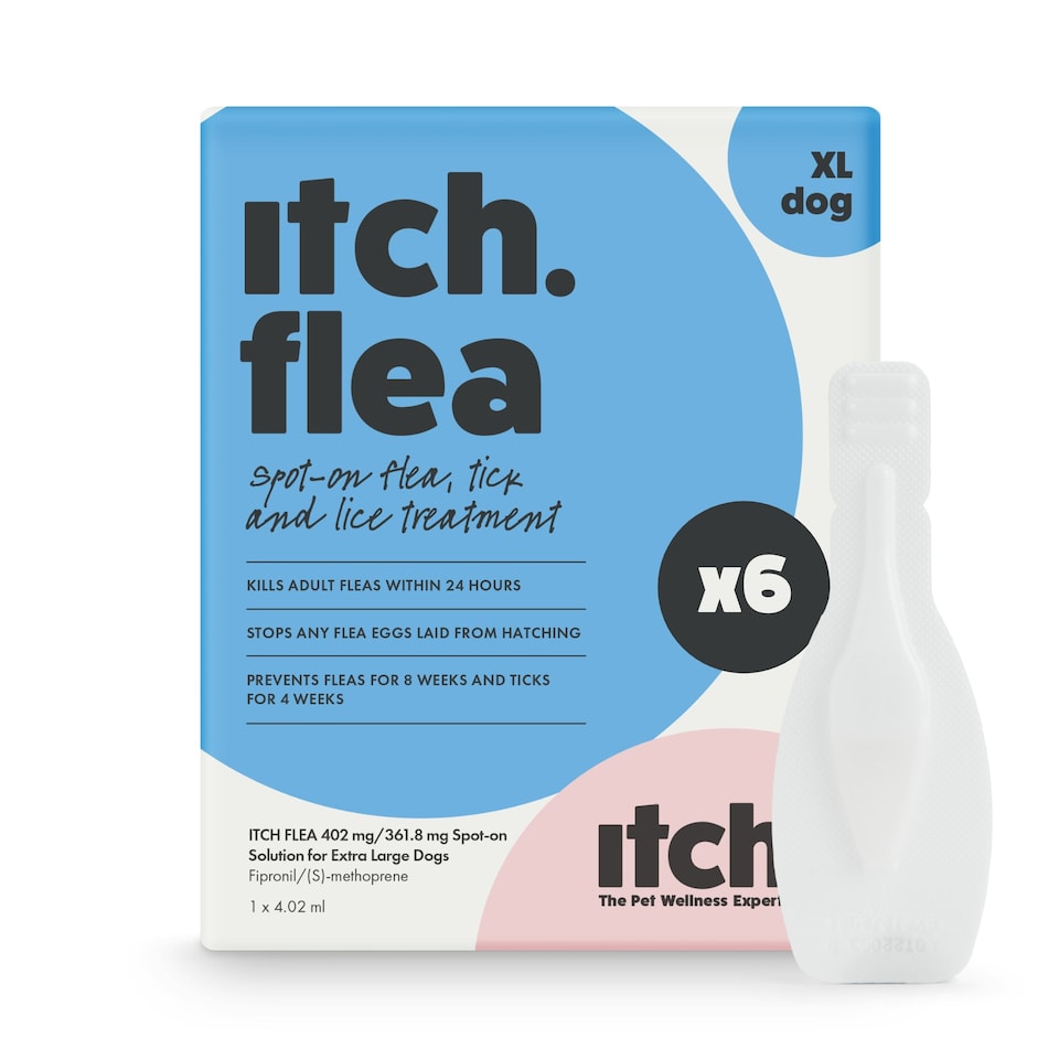 image 1 of Itch Flea Extra Large Dog Flea & Tick Spot On Treatment 6 Pipette (40+kg)