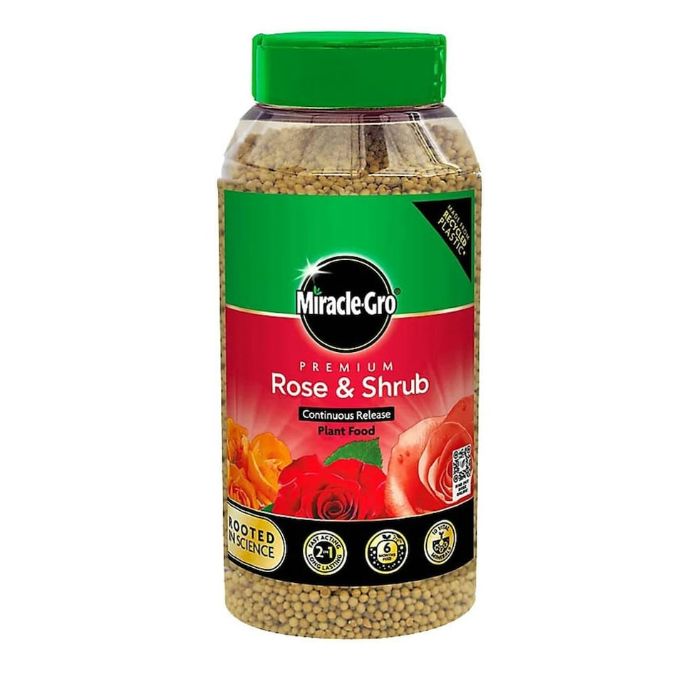 image 1 of Miracle-Gro® Premium Rose & Shrub Continuous Release Plant Food