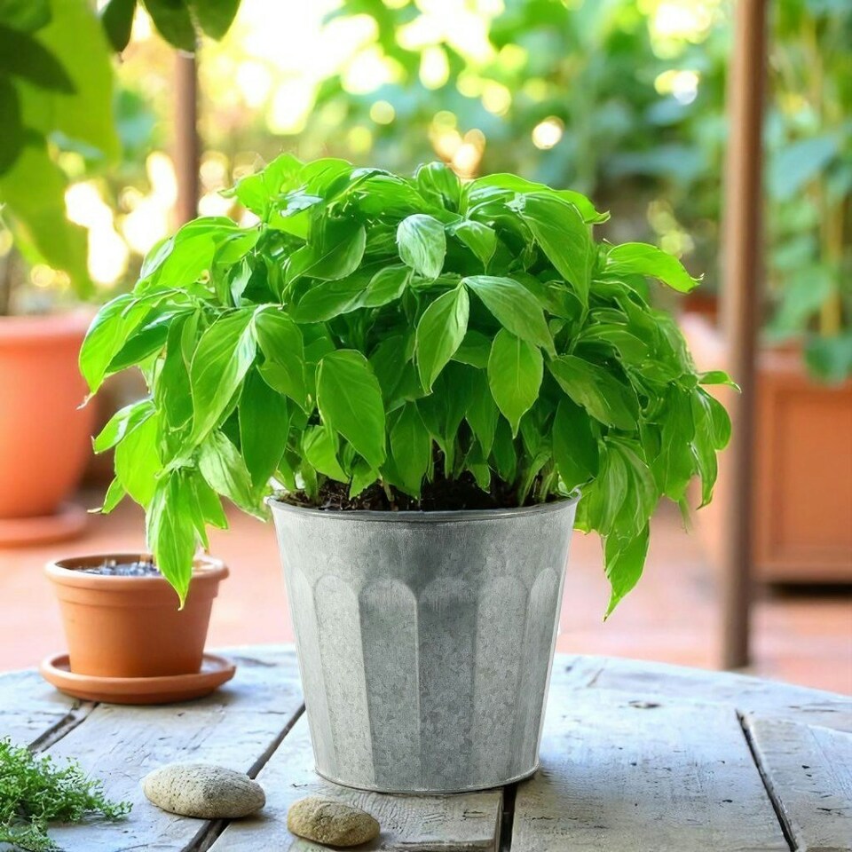 image 1 of White Wash Embossed Zinc Planter (H18 x W20cm) Silver