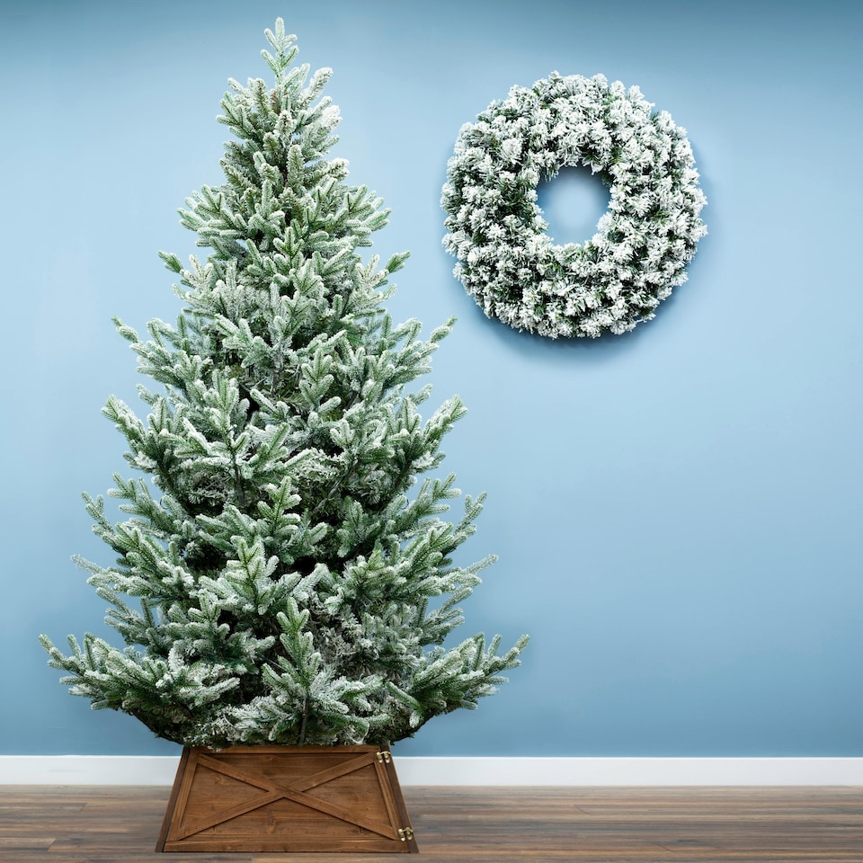 image 1 of Christmas Tree World  7ft/210cm Frosted Ultra Mountain Pine