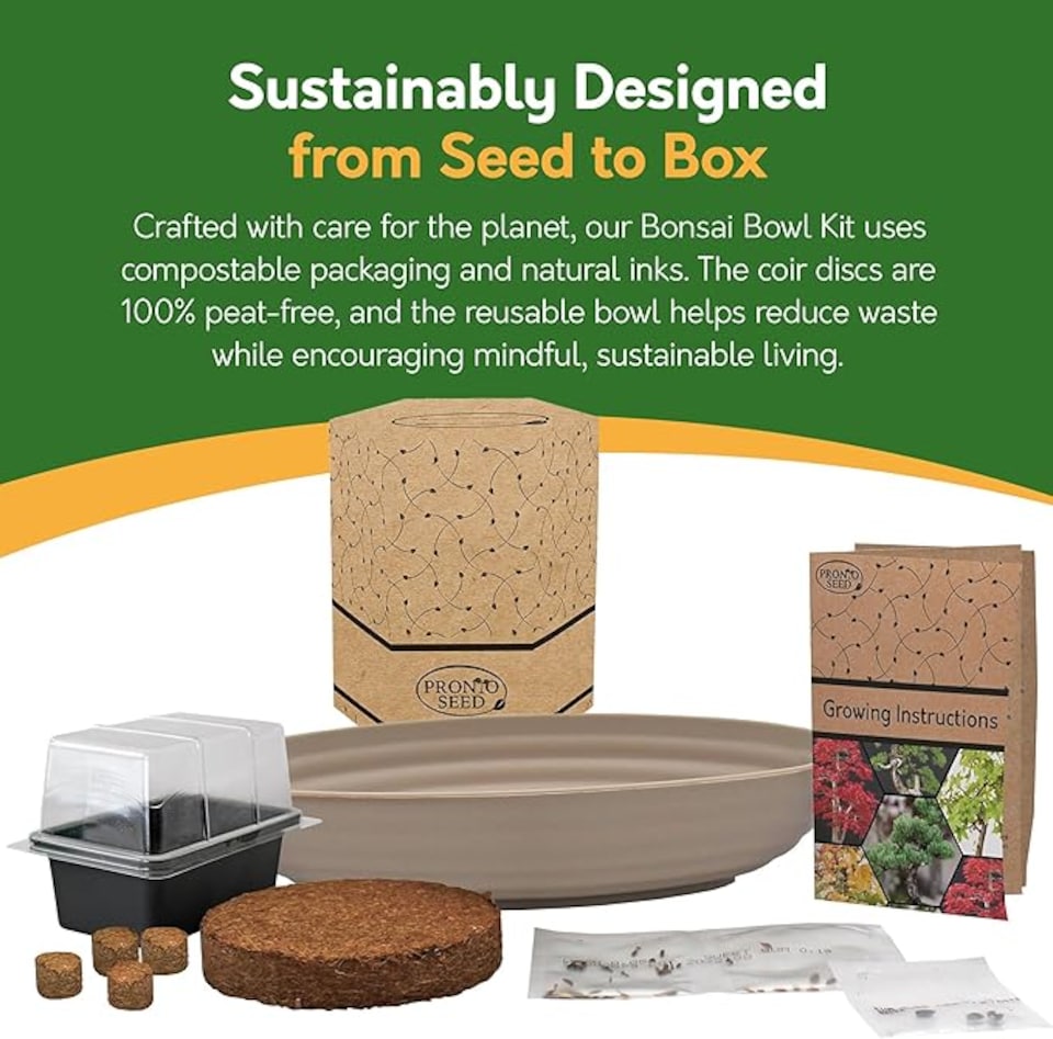 image 1 of Grow Your Own Bonsai Kit - Traditional Trio - Pine, Sweetgum & Larch with Slate & Propagator | Multi | Trio Bonsai | 1