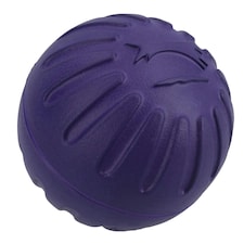 Large Interactive Play Durafoam Dog Puppy Ball Floating Toy-Assorted Colour