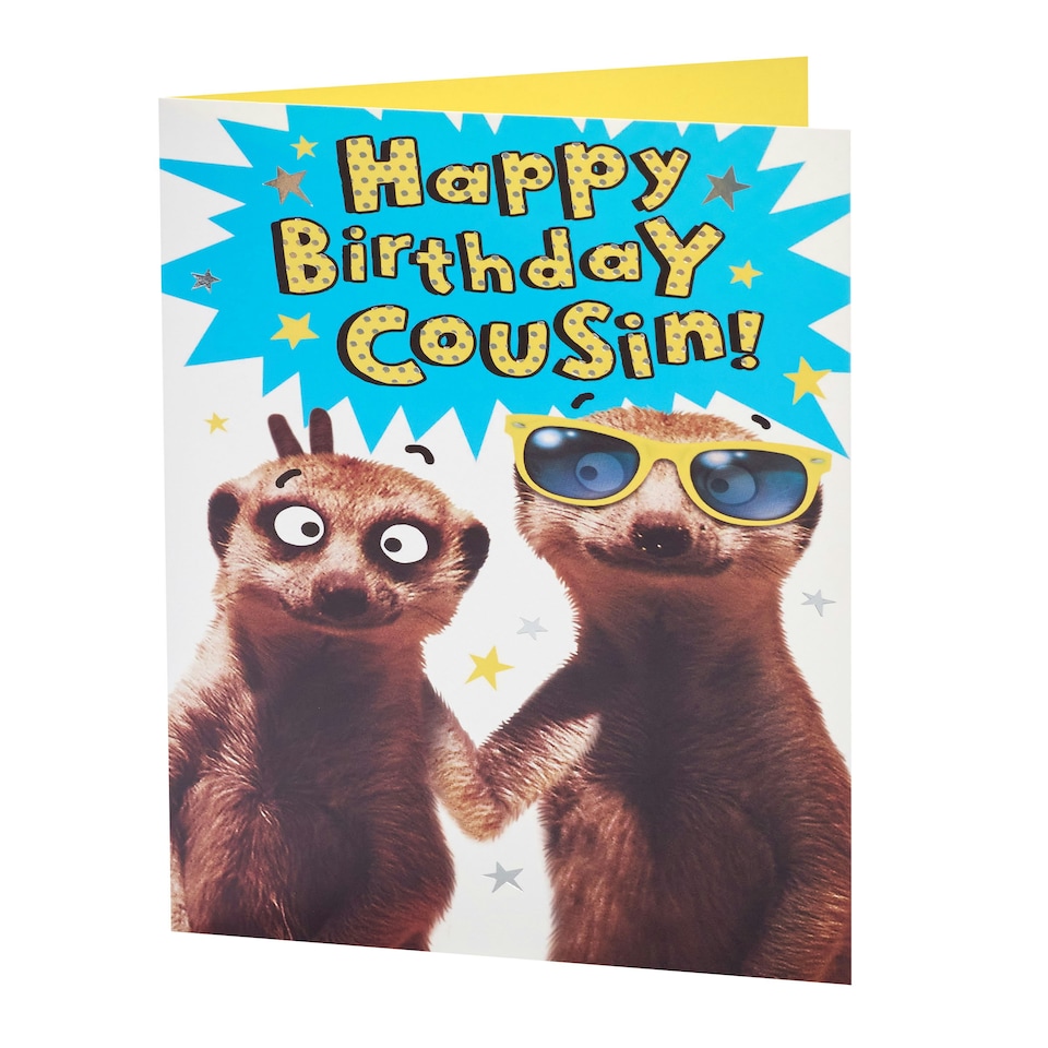 image 1 of Birthday Card for Him/Cousin | Funny Meerkat Design