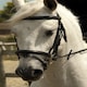image 1 of Rhinegold Bridle Brown | Size: Pony
Colour: H.Brown