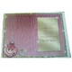 image 1 of Xpress Yourself Open Female 16 Today! Medium Sized Style Birthday Card