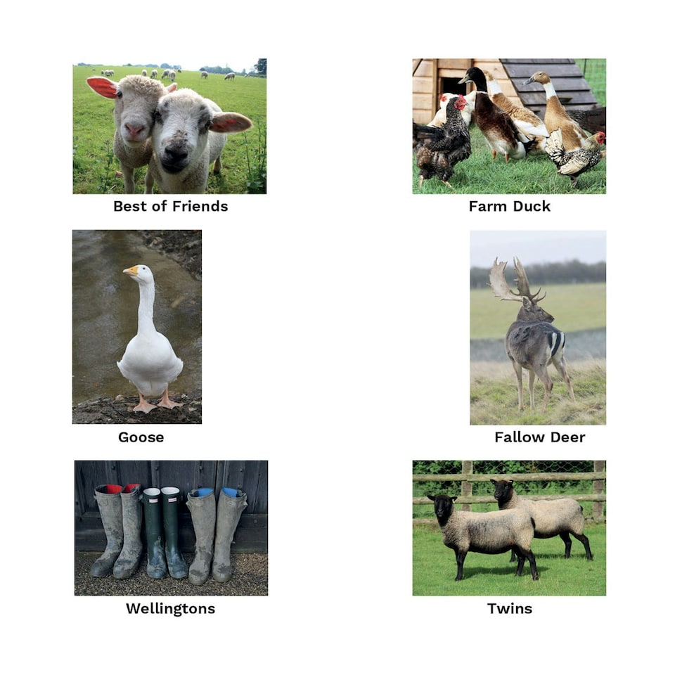 image 1 of Kevin Milner Working Hunter Countryside Greetings Card - White/Grey/Green - One Size