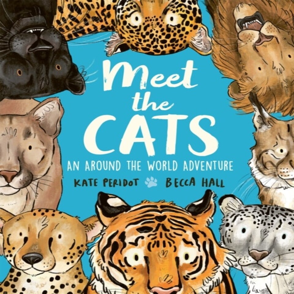 Meet The Cats