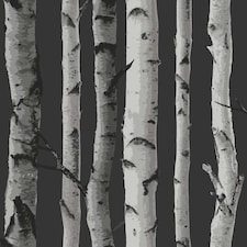 Fine Decor Birch Trees Wallpaper - Black/Silver - One Size
