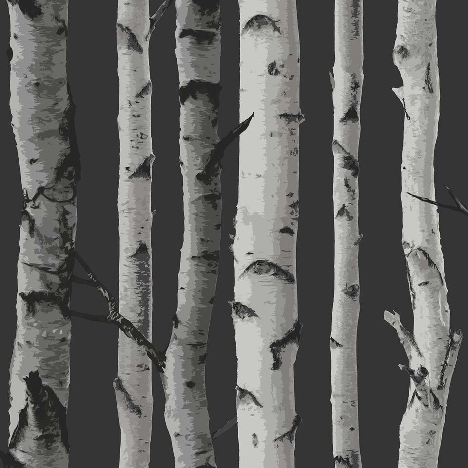 image 1 of Fine Decor Birch Trees Wallpaper - Black/Silver - One Size