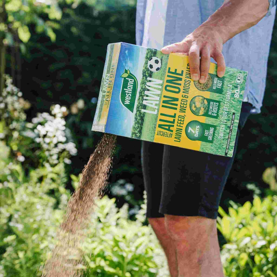 image 1 of Aftercut All-in-One Lawn Feed, Weed & Moss Killer 350sqm