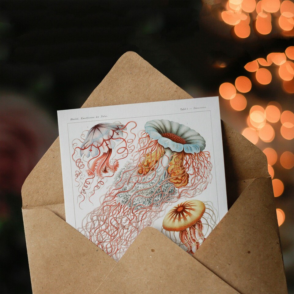 image 1 of Ernst Haeckel Art Card Lions Mane Jellyfish Illustration