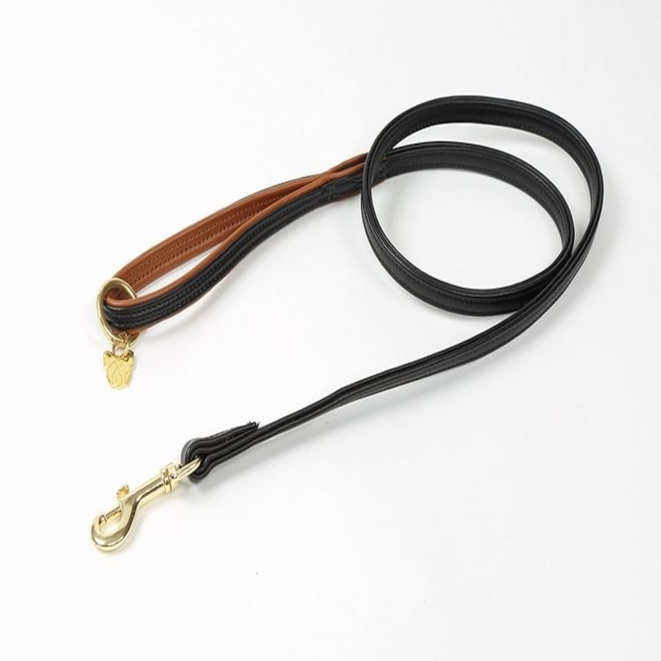 image 1 of Shires Digby & Fox Padded Leather Dog Lead Black | Size: 1.5Cm
Colour: Black