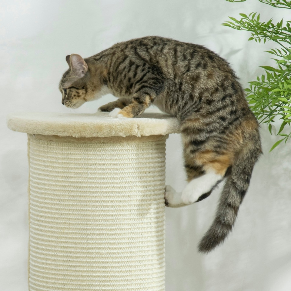 image 1 of PawHut Cat Scratching Post with Sisal Rope Soft Plush Anti-Tip, 85cm, Beige