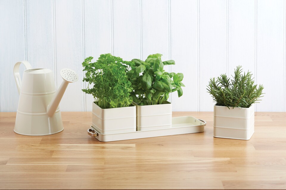 image 1 of KitchenCraft Living Nostalgia Indoor Metal Herb Pots and Tray Set