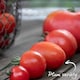 image 5 of Marshalls Garden Tomato Seeds Sungrape F1 - 6 Seeds | Green | Green, Red
