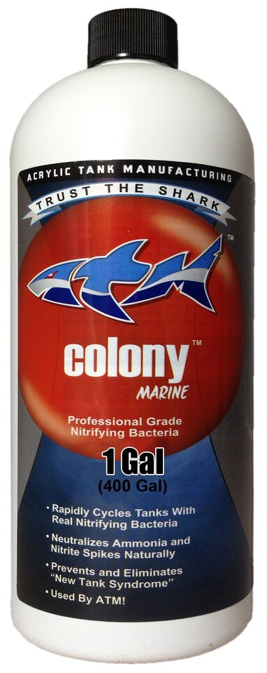 image 1 of ATM Colony Marine 1 Gallon | Clear