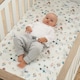 image 2 of Tutti Bambini Cot Bed Fitted Sheets 2pk - Our Planet