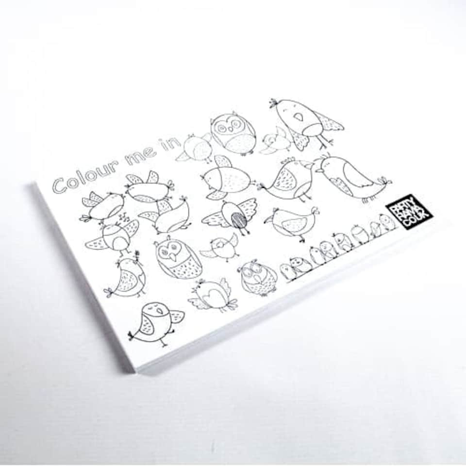 Birds Themed A4 Colouring sheet
