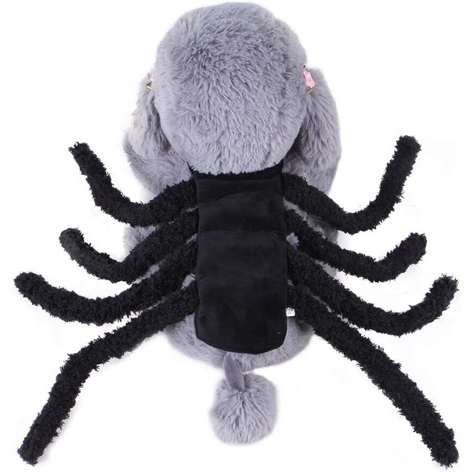 image 1 of Small Spider Pet Costume | Halloween Spider Outfit for Cats & Small Dogs