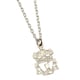 image 1 of Liverpool FC Crest Necklace & Pendant - Silver - One Size
