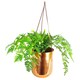 image 2 of Leaf 18 x 22cm Copper Hanging Planter | Copper
