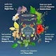 image 3 of Pukka Herbs Favourites Herbal Tea Gift Set, Ideal Gifts, 30 Teabags, 5 Flavours