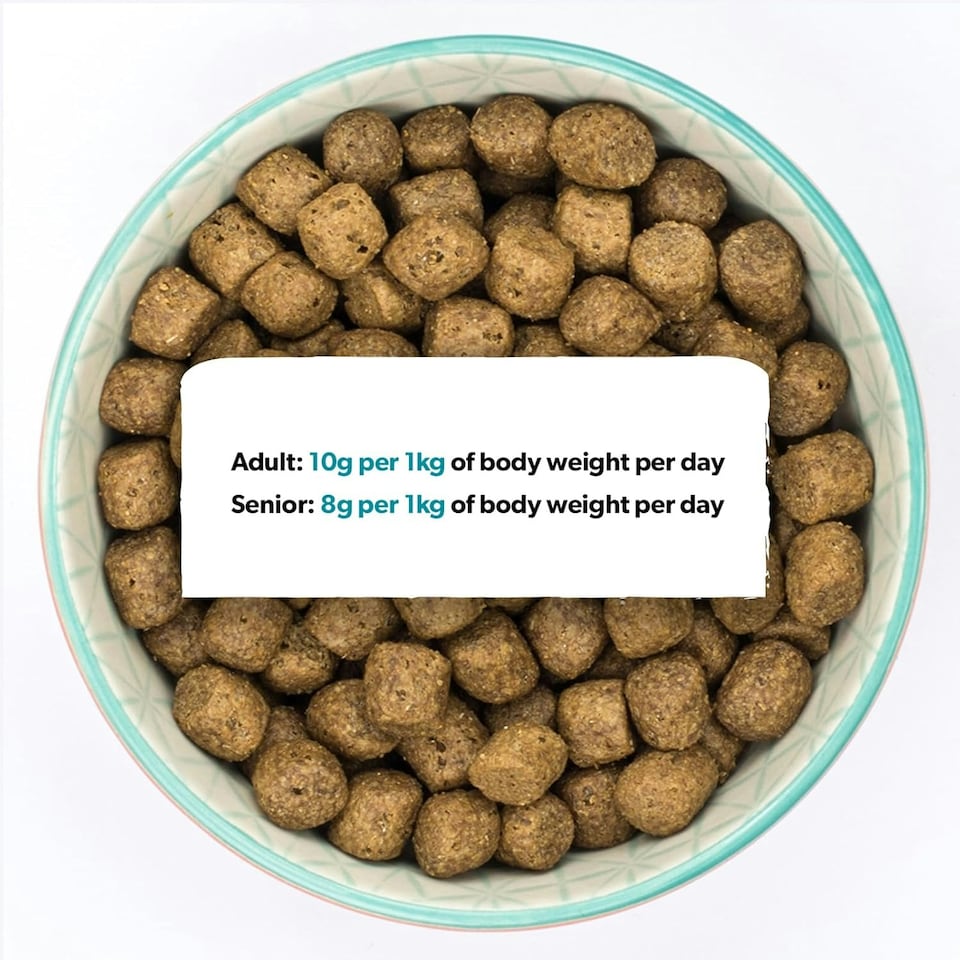 image 1 of Burns Pet Nutrition Complete Dry Hypoallergenic Dog Food For Sensitive Dogs, Turkey and Potato 6kg