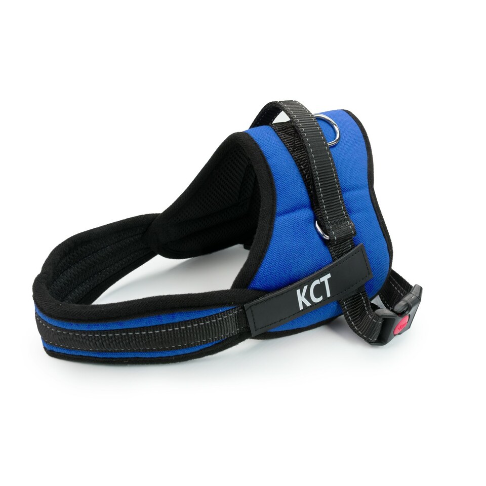 image 1 of KCT Large Blue Padded Dog Harness Blue | L