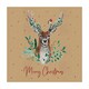 image 1 of Pack of 12 Stag Brown Kraft Christmas Box Cards