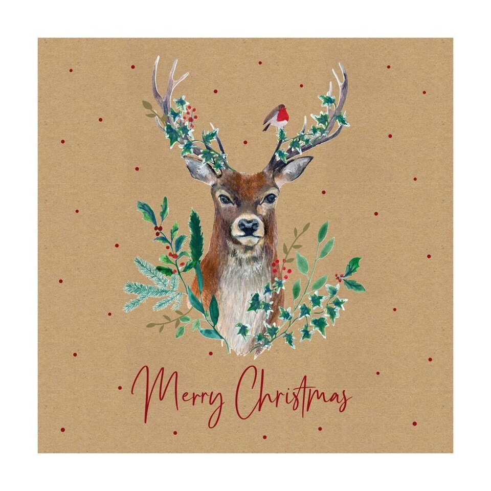 image 1 of Pack of 12 Stag Brown Kraft Christmas Box Cards